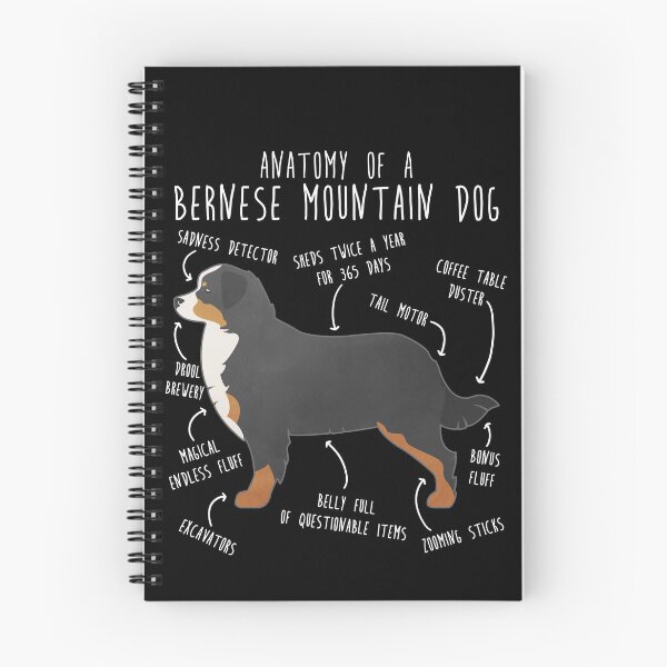 Item preview, Bernese Mountain Dog Anatomy designed and sold by Clara Hollins.