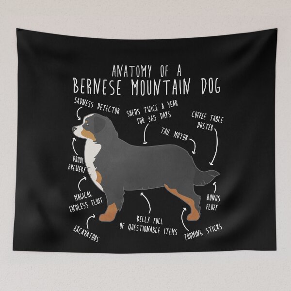 Item preview, Bernese Mountain Dog Anatomy designed and sold by Clara Hollins.