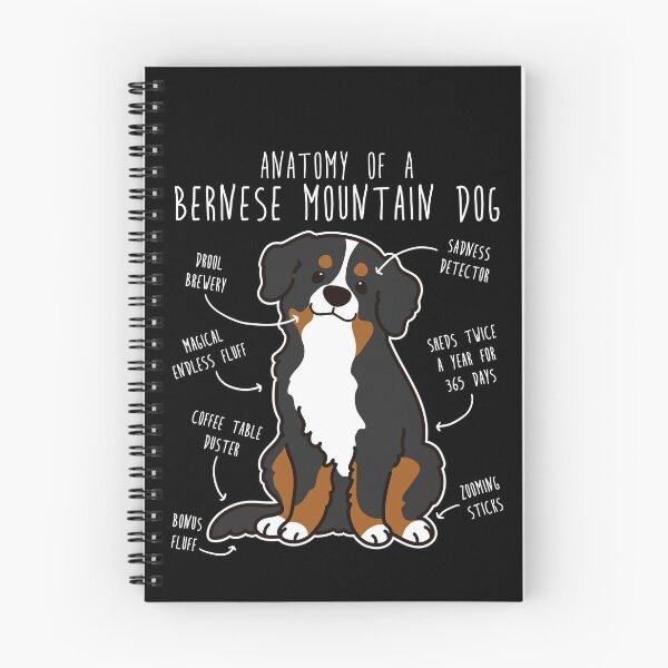 Item preview, Bernese Mountain Dog Anatomy designed and sold by Clara Hollins.