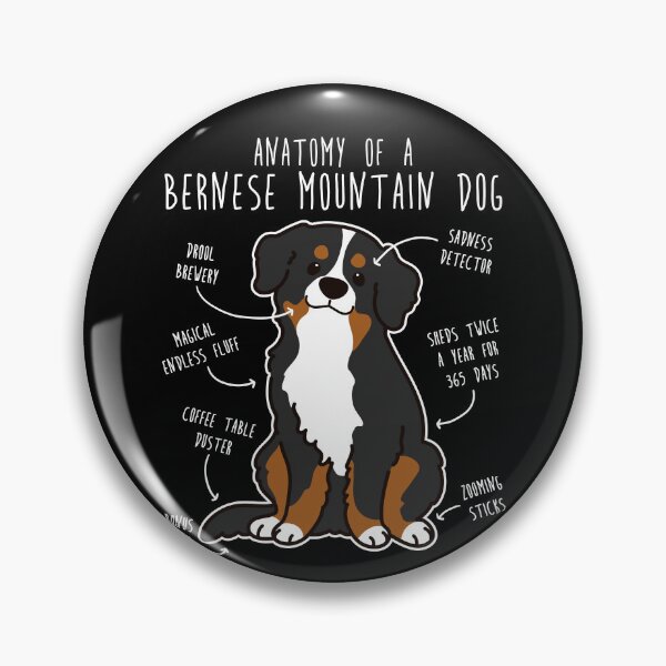 Item preview, Bernese Mountain Dog Anatomy designed and sold by Clara Hollins.