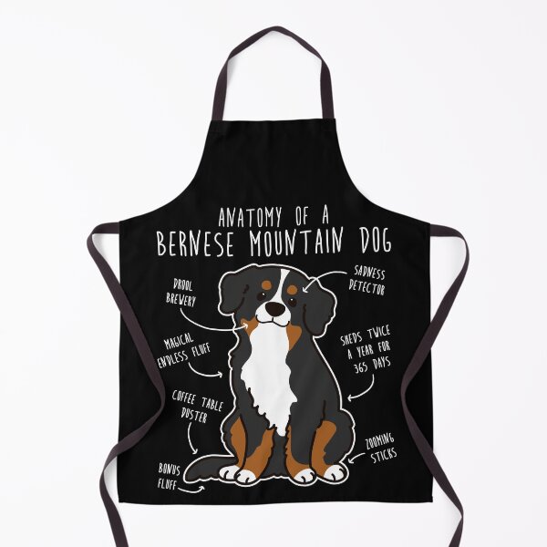 Item preview, Bernese Mountain Dog Anatomy designed and sold by Clara Hollins.