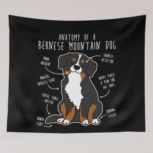 Item preview, Bernese Mountain Dog Anatomy designed and sold by Clara Hollins.