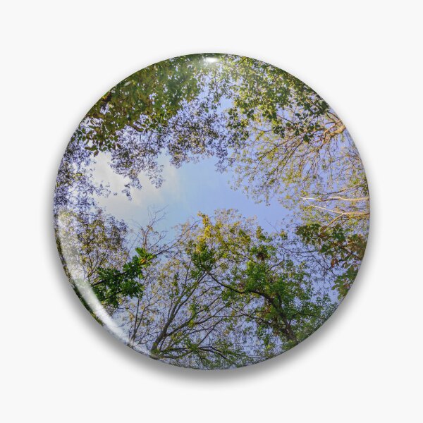 Item preview, Eye in the woodland cathedral designed and sold by Joel Bader.