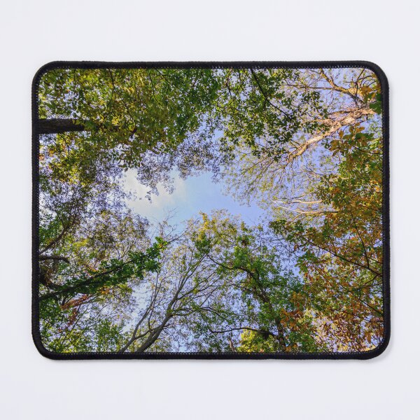 Item preview, Eye in the woodland cathedral designed and sold by Joel Bader.