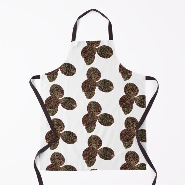 Item preview, Macodes lowii Jewel Orchid designed and sold by Floral-Art.