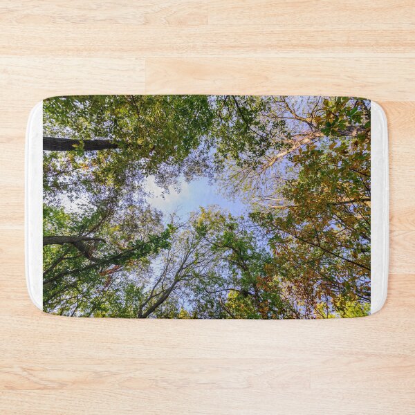 Item preview, Eye in the woodland cathedral designed and sold by Joel Bader.