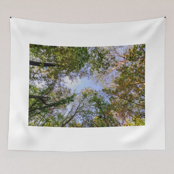 Item preview, Eye in the woodland cathedral designed and sold by Joel Bader.