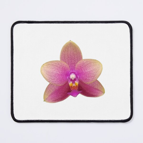Item preview, Phalaenopsis Orchid designed and sold by Floral-Art.