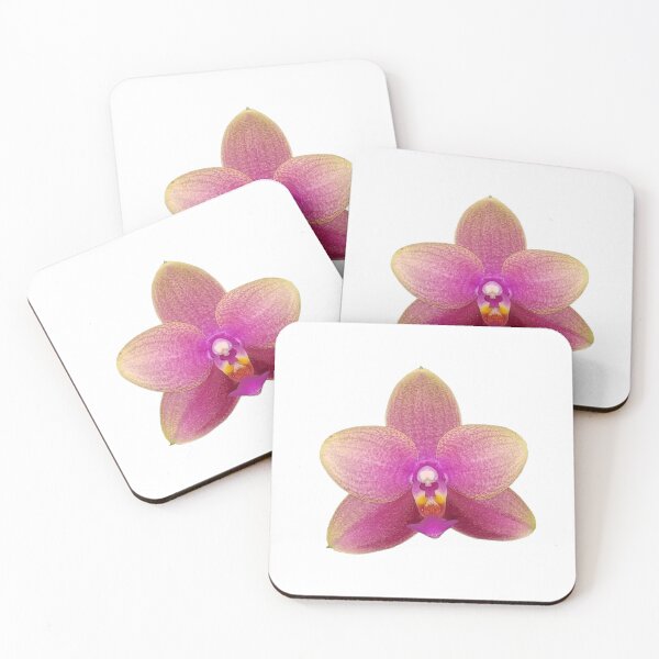 Item preview, Phalaenopsis Orchid designed and sold by Floral-Art.