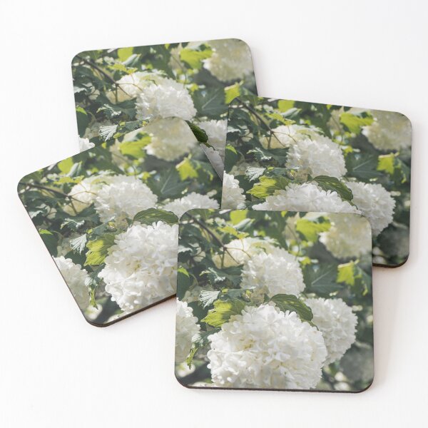 Item preview, White Flowers designed and sold by ncbennett.