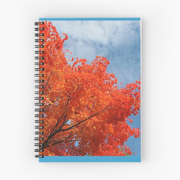 Item preview, The Brilliance of October Color against the Sky designed and sold by Jane Neill-Hancock.