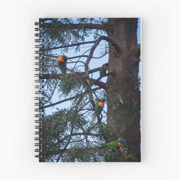 Item preview, Parrots Leith Park Victoria 20170707 0848  designed and sold by Fred Mitchell.