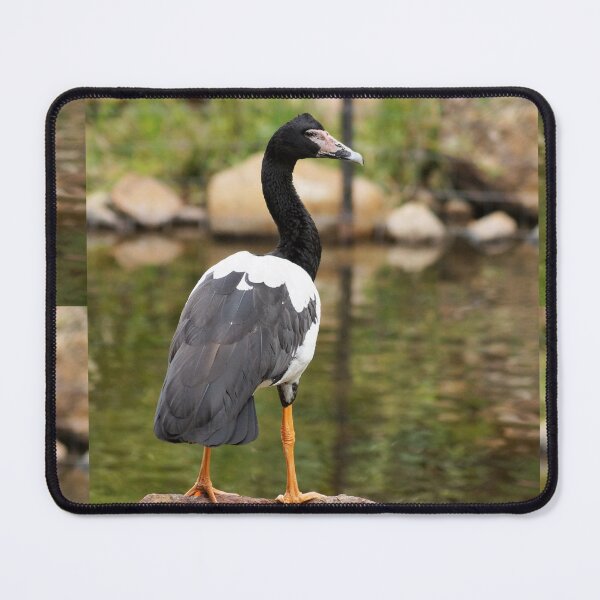 Item preview, Magpie Goose designed and sold by Dragonsfield.