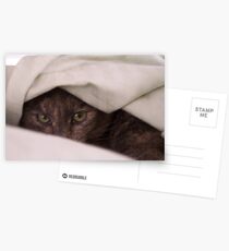 Peek-A-Boo Postcards