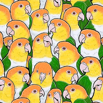 Artwork thumbnail, White-bellied Caique Parrots by MaratusFunk