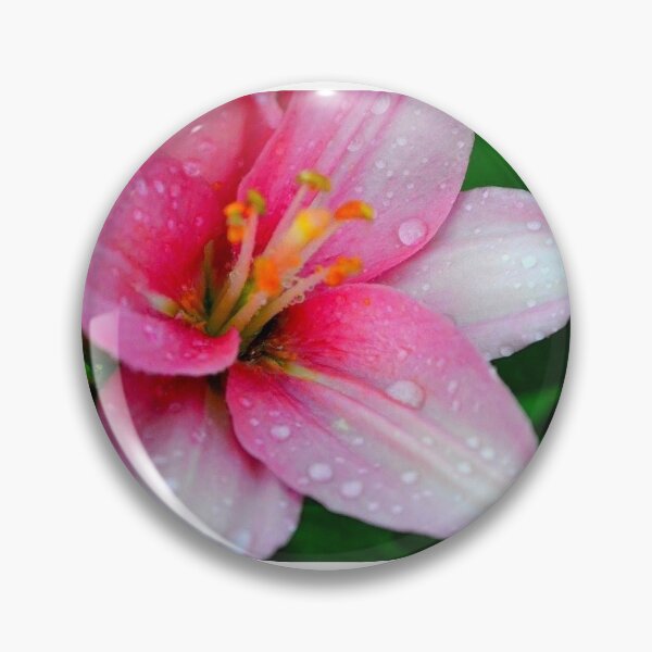 Item preview, recién regado designed and sold by BurnzyysPhotos.