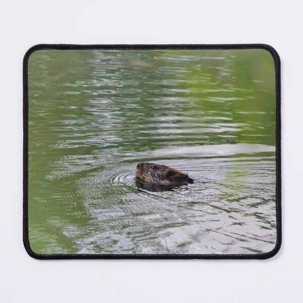 Item preview, Eh designed and sold by BurnzyysPhotos.