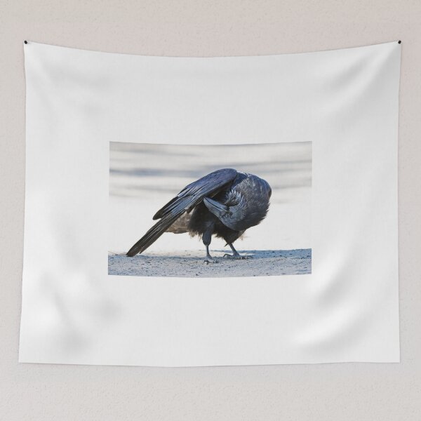 Item preview, Common raven preening in Algonquin park designed and sold by James Cumming.