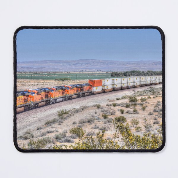 Item preview, Burlington Northern Santa Fe # 7388 designed and sold by RandyDyer.