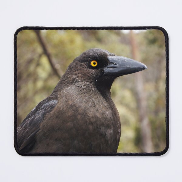 Item preview, Pied Currawong designed and sold by Dragonsfield.