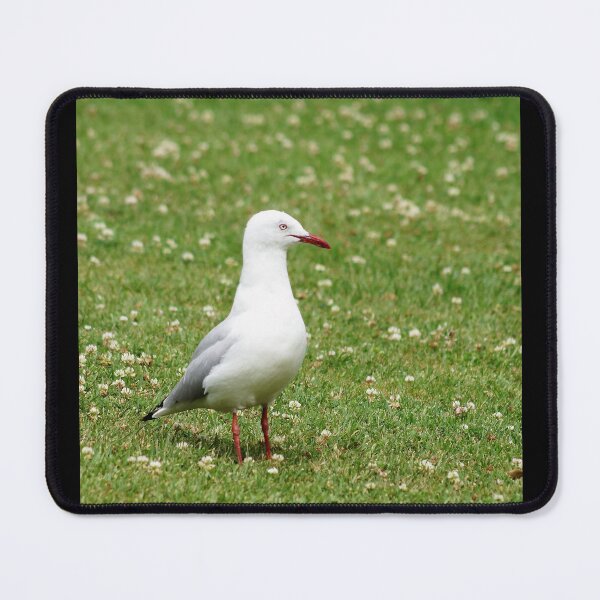 Item preview, Seagull designed and sold by Dragonsfield.