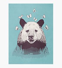 Let's Bear Friends Photographic Print