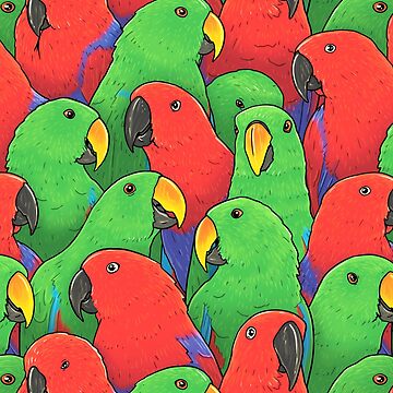 Artwork thumbnail, Male and Female Eclectus Parrots by MaratusFunk