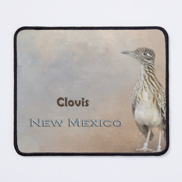 Item preview, Roadrunner Clovis New Mexico designed and sold by Elisabeth Lucas.