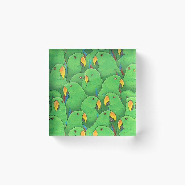 Item preview, Male Eclectus Parrots designed and sold by MaratusFunk.
