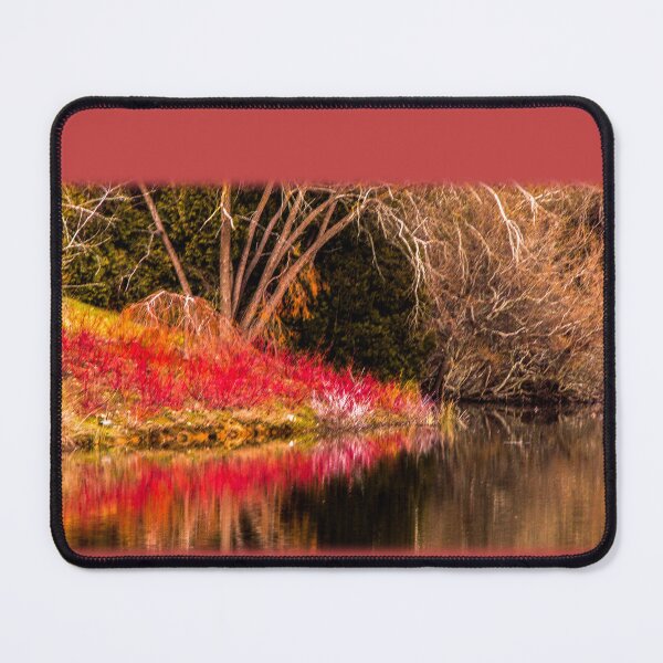 Item preview, Winter reflection designed and sold by indiafrankk.