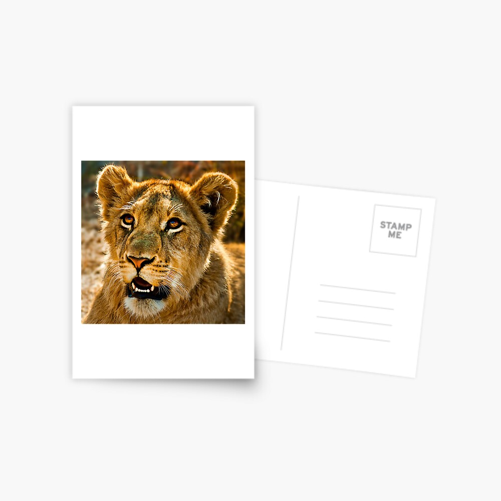 Item preview, Postcard designed and sold by GreenEyedHarpy.