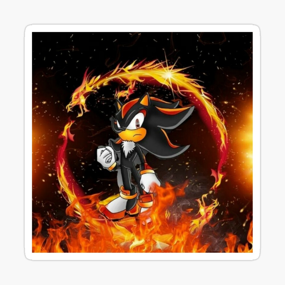 sonic x shadow the hedgehog folder binder