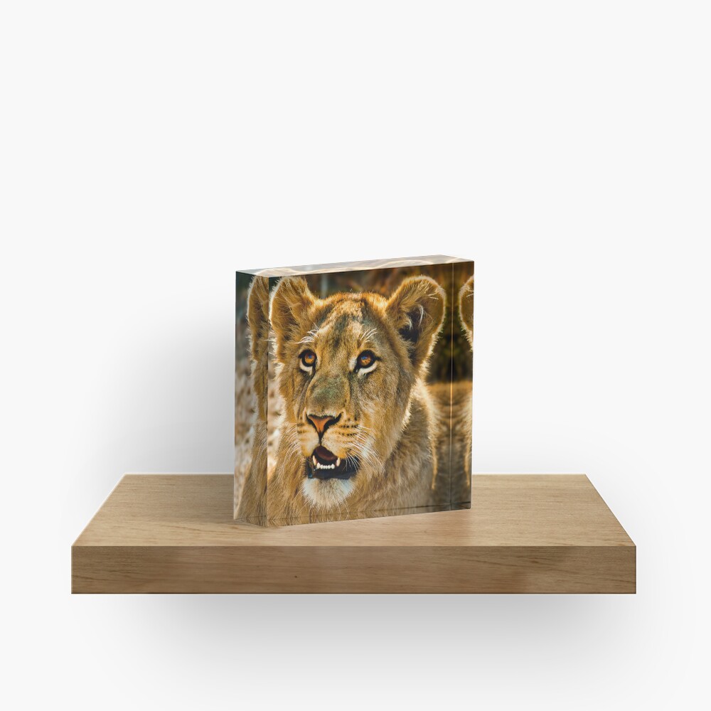 Item preview, Acrylic Block designed and sold by GreenEyedHarpy.