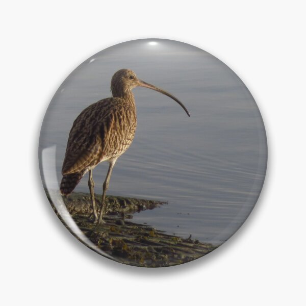 Item preview, Curlew On The Slipway designed and sold by wiggyofipswich.