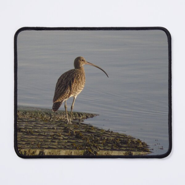 Item preview, Curlew On The Slipway designed and sold by wiggyofipswich.
