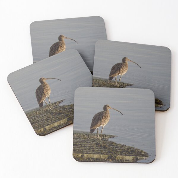 Item preview, Curlew On The Slipway designed and sold by wiggyofipswich.