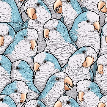 Artwork thumbnail, Blue Quaker Monk Parakeets by MaratusFunk