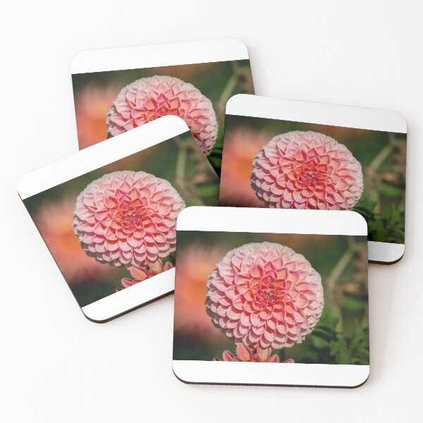 Item preview, Dahlia Plant flower designed and sold by sbrstore.