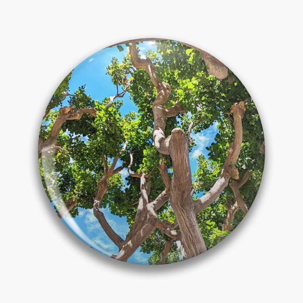 Item preview, Burbank Studio Trees designed and sold by SanArtcisco.