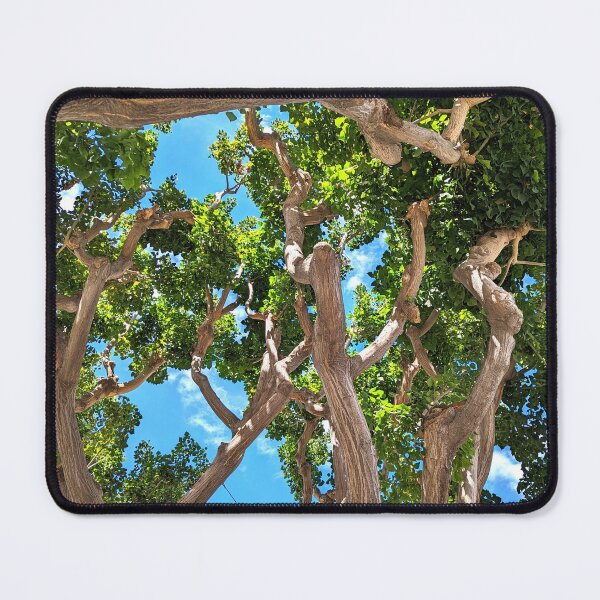 Item preview, Burbank Studio Trees designed and sold by SanArtcisco.