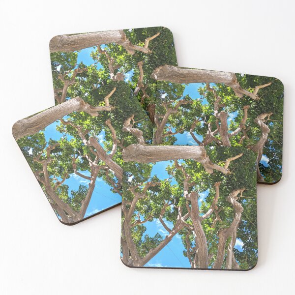 Item preview, Burbank Studio Trees designed and sold by SanArtcisco.