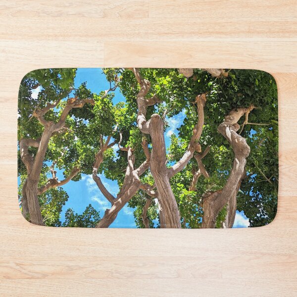 Item preview, Burbank Studio Trees designed and sold by SanArtcisco.