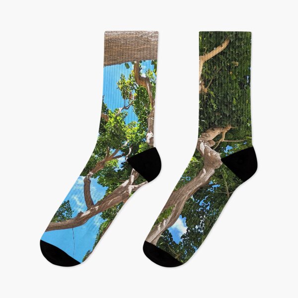 Item preview, Burbank Studio Trees designed and sold by SanArtcisco.
