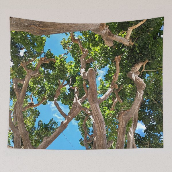 Item preview, Burbank Studio Trees designed and sold by SanArtcisco.