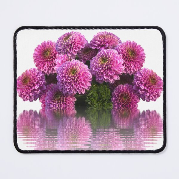 Item preview, Dahlia Plant flower designed and sold by sbrstore.