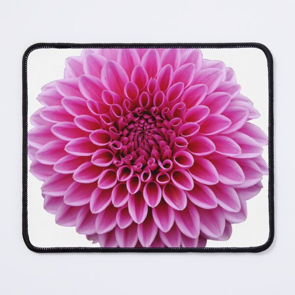 Item preview, Dahlia Plant flower designed and sold by sbrstore.