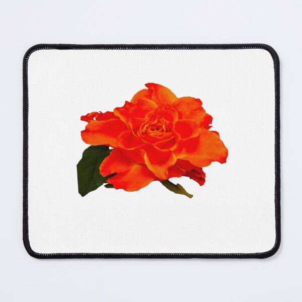Item preview, t-Shirt rosa arancio designed and sold by Infinito2008.