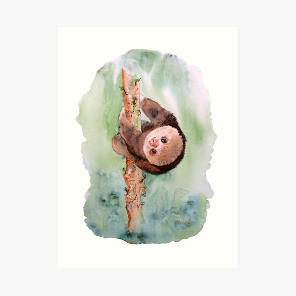 Baby Sloth Art Print