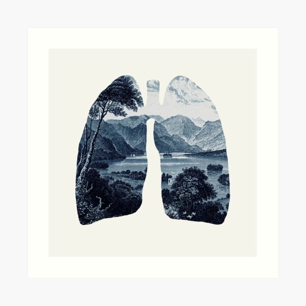 Fresh Art Print