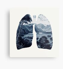 Fresh Metal Print